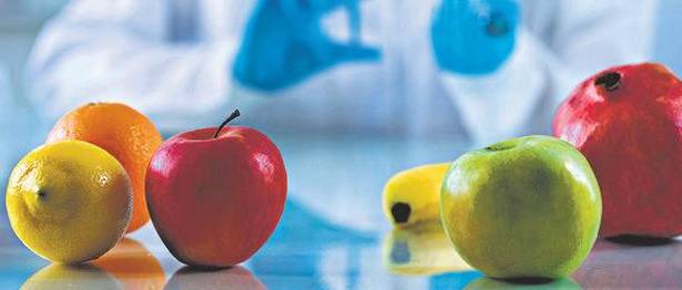 kdsushma- Fruits export